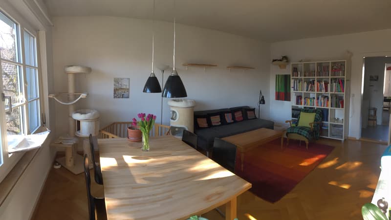 3-Zimmerwohnung, 2. Stock (3)