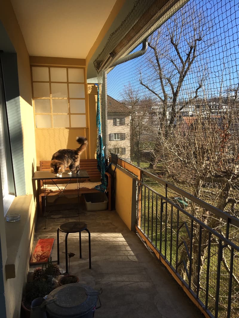 3-Zimmerwohnung, 2. Stock (7)
