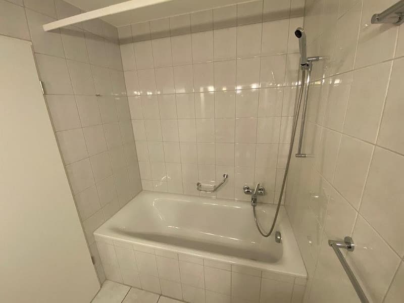 Appartement merveilleux de 3 1/2 pièces, 3e étage gauche (10)