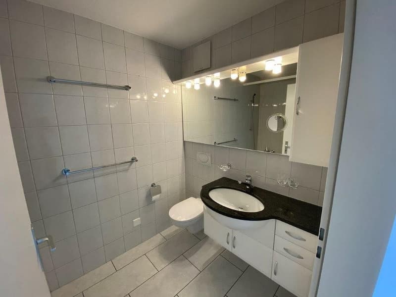 Appartement merveilleux de 3 1/2 pièces, 3e étage gauche (9)
