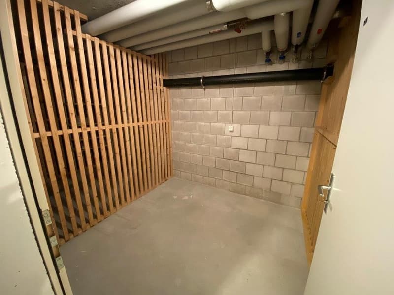 Appartement merveilleux de 3 1/2 pièces, 3e étage gauche (13)