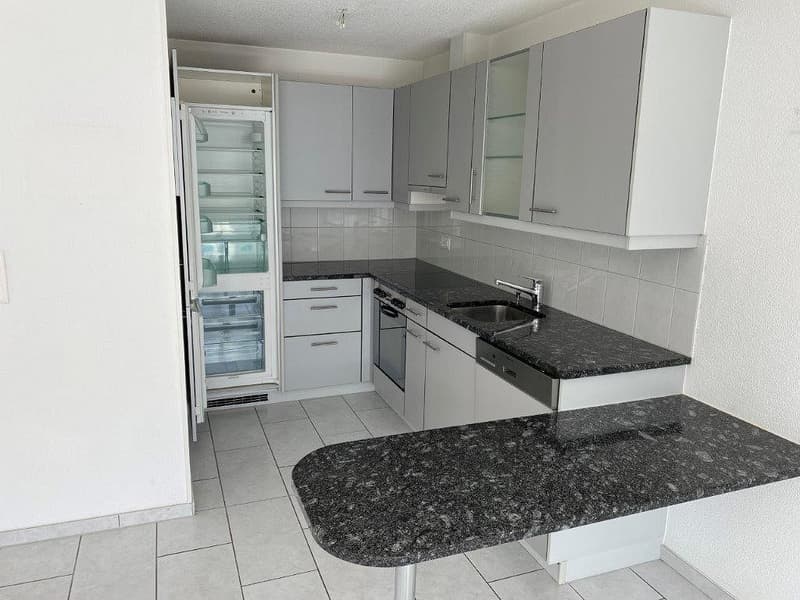 Appartement merveilleux de 3 1/2 pièces, 3e étage gauche (3)