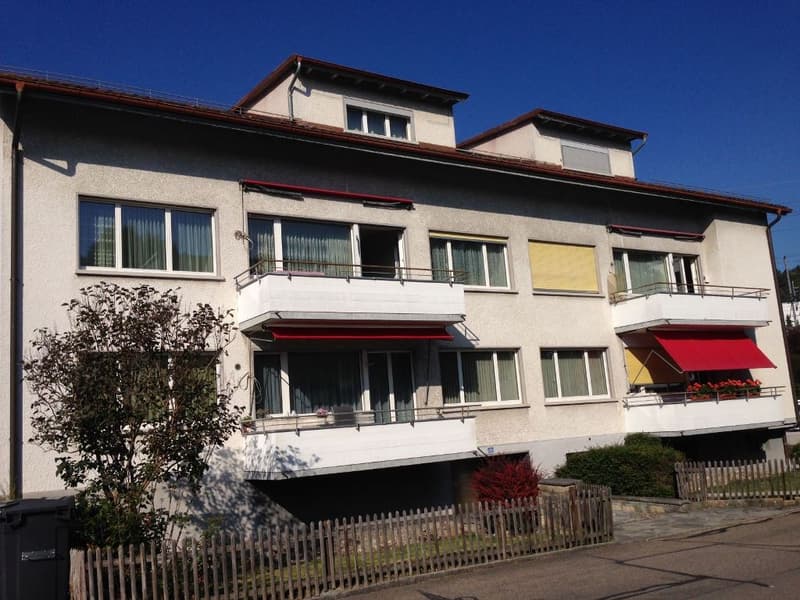 3 1/2-room apartment, 2nd floor left (1)