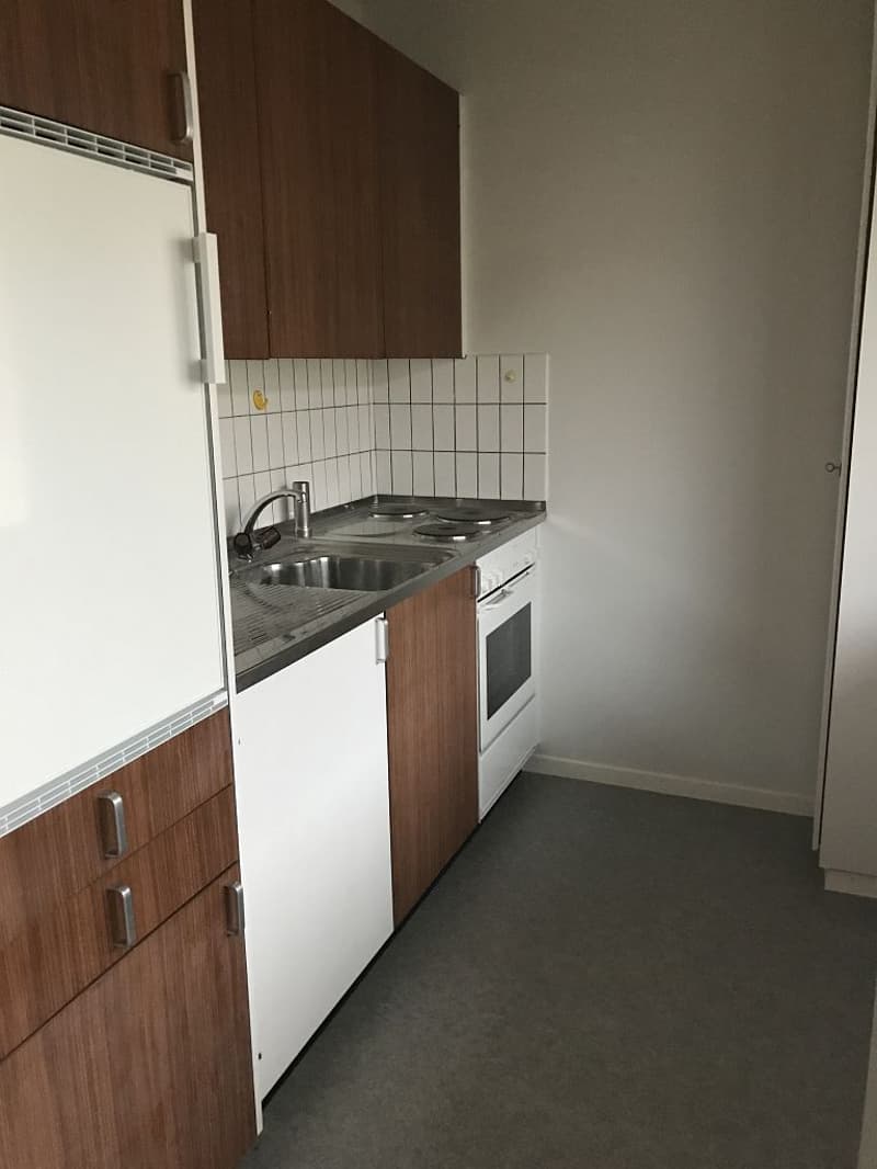 Appartamento 2 camere, 1° piano a destra (4)