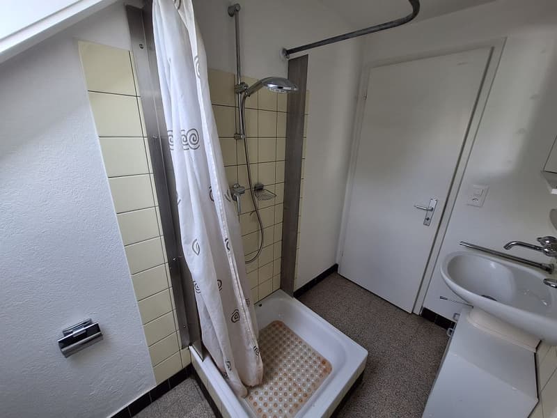 2-room apartment, 2nd floor (7)