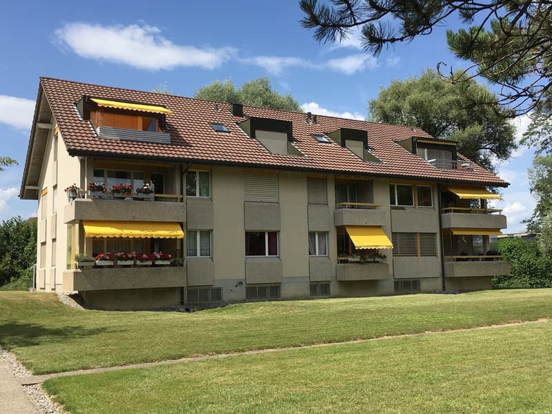 Appartamento di 3.5 locali, 1° piano sinistro (1)