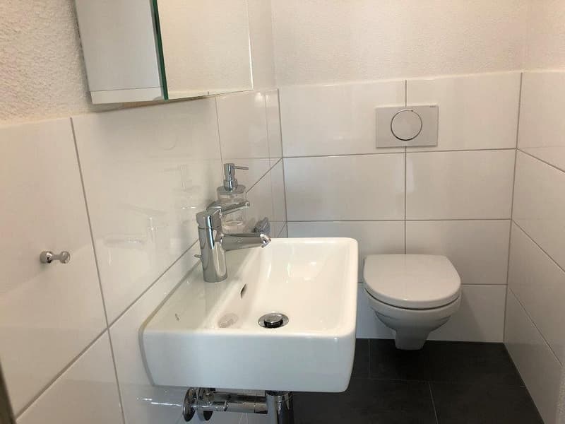 Appartement 5 1/2 pièces, 2e étage gauche (3)