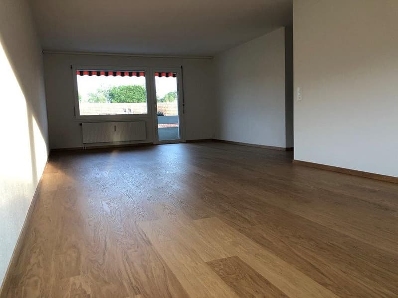 Appartement 5 1/2 pièces, 2e étage gauche (6)