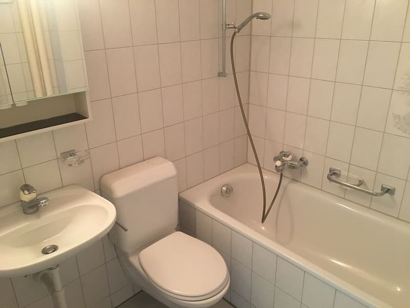 4-Zimmerwohnung, 3. Stock rechts (6)