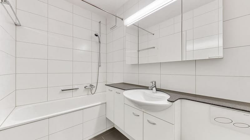 4 1/2-Zimmerwohnung, Parterre links (9)