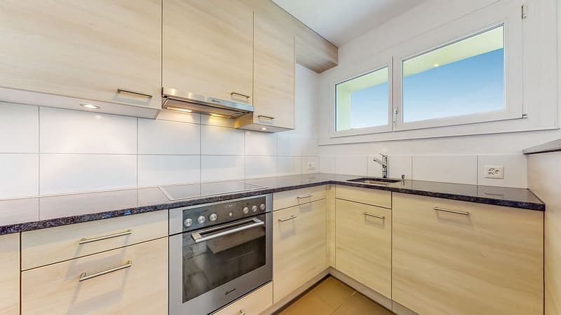 4 1/2-Zimmerwohnung, Parterre links (3)