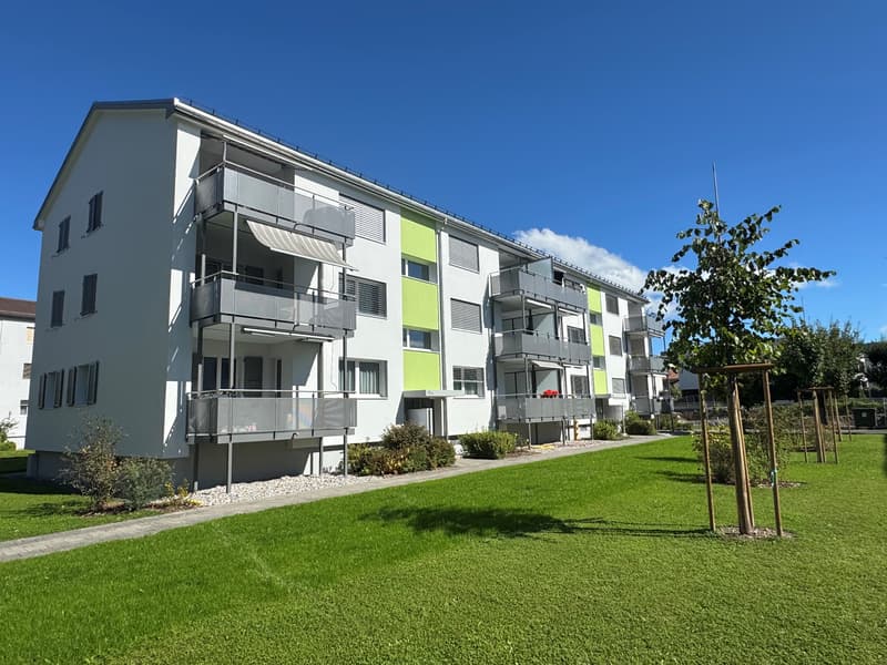 4 1/2-Zimmerwohnung, Parterre links (1)