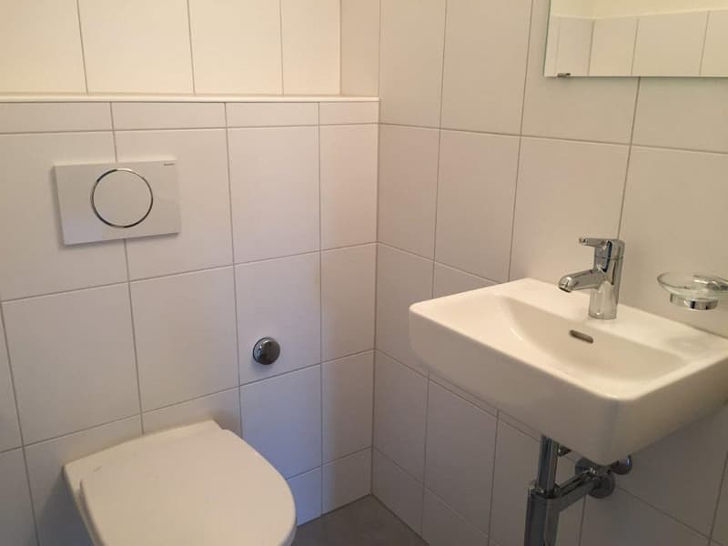 4-Zimmerwohnung, Parterre links (4)
