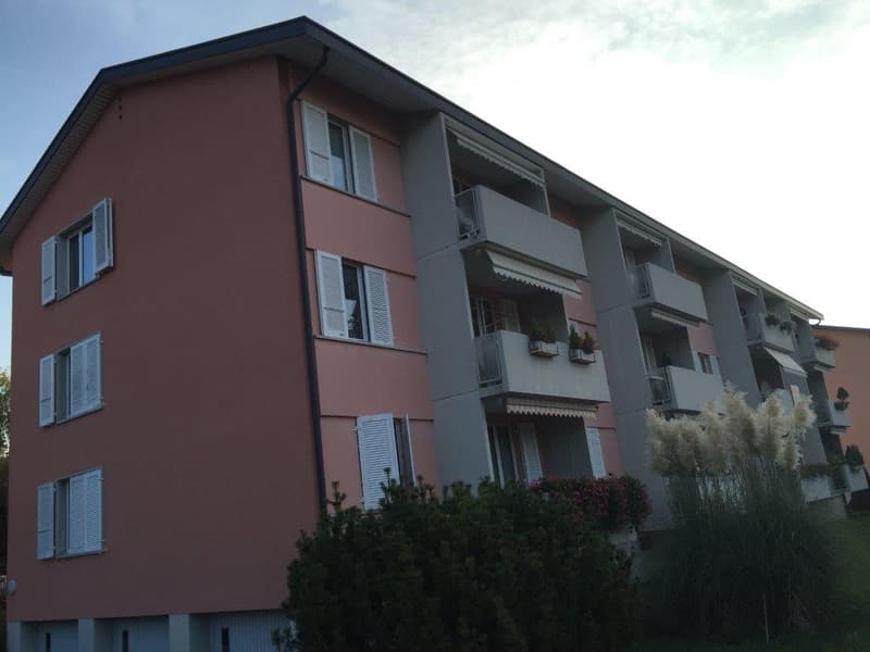 Charming 3 1/2-room apartment, 1st floor left (1)