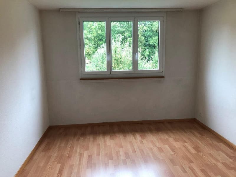 Charming 3 1/2-room apartment, 1st floor left (5)