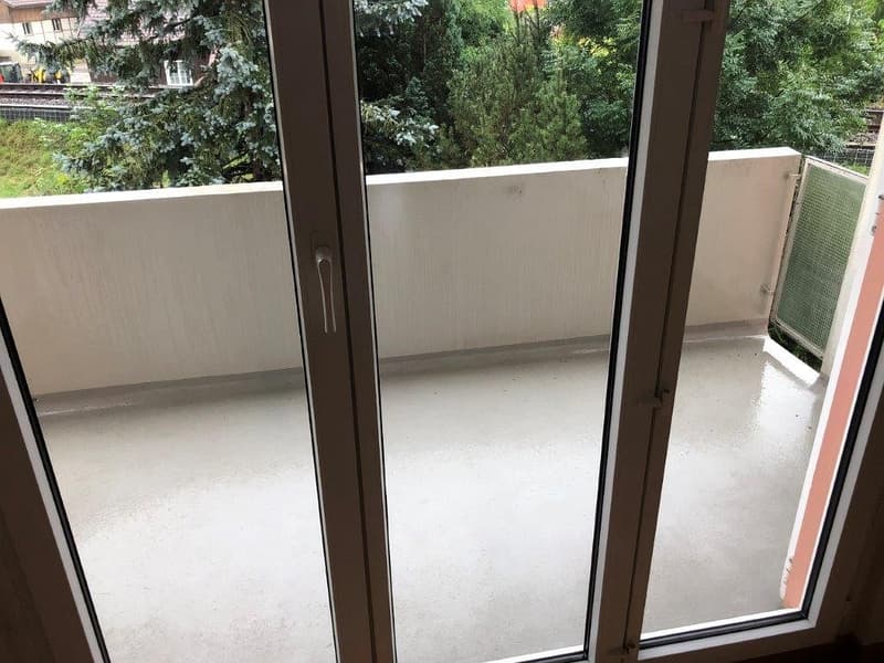 Charming 3 1/2-room apartment, 1st floor left (9)