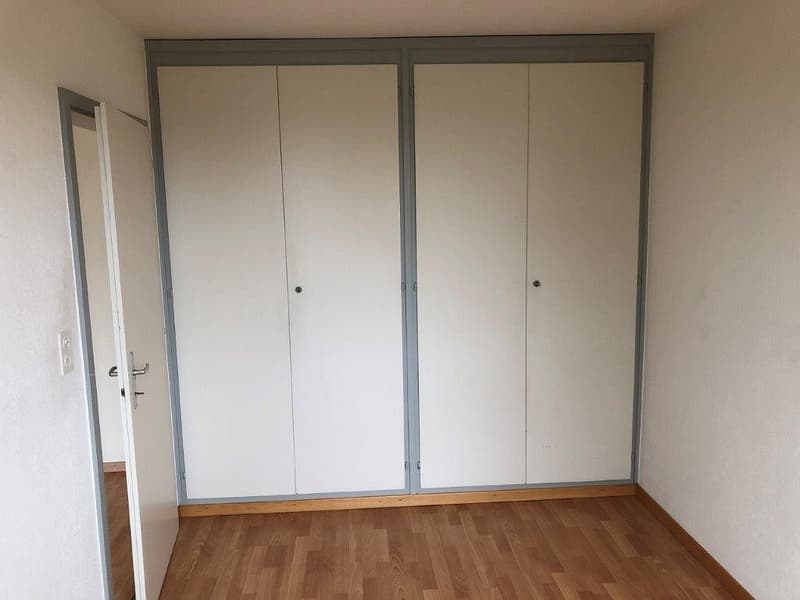 Charming 3 1/2-room apartment, 1st floor left (7)