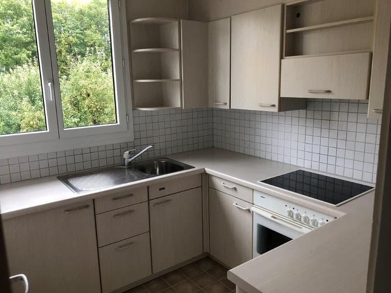 Charming 3 1/2-room apartment, 1st floor left (3)
