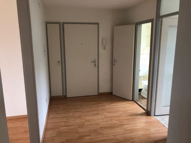 Charming 3 1/2-room apartment, 1st floor left (2)