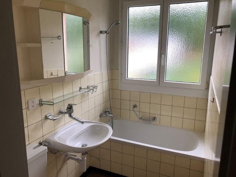 Charming 3 1/2-room apartment, 1st floor left (8)