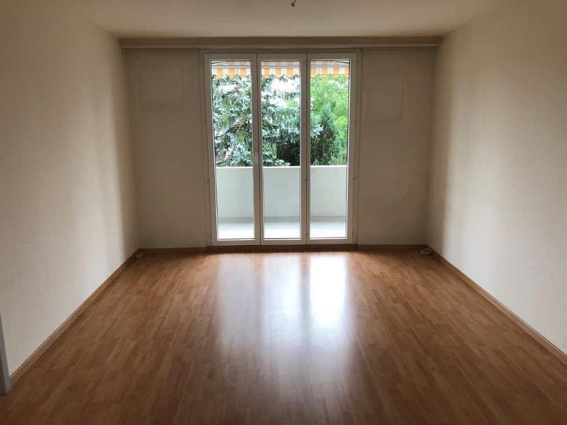 Charming 3 1/2-room apartment, 1st floor left (4)