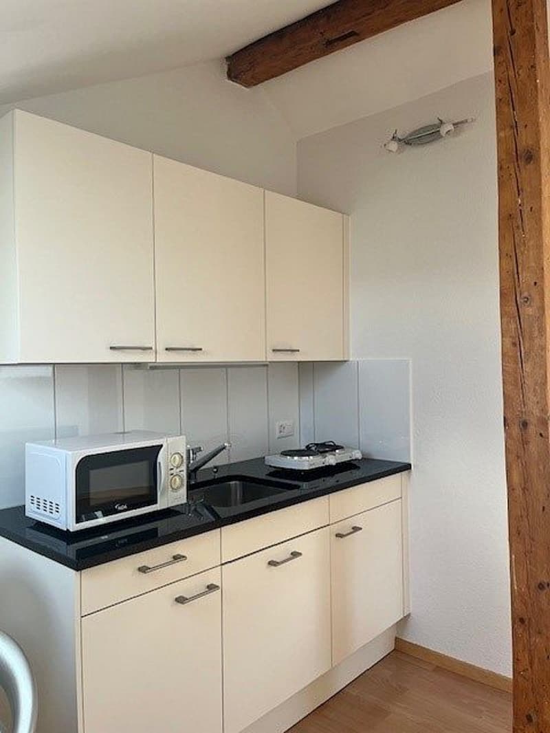 1-Zimmerwohnung, 4. Stock (4)