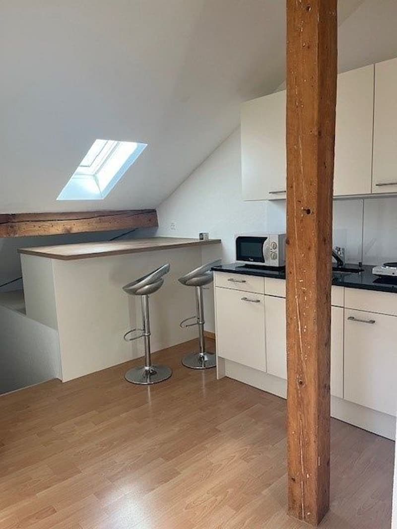 1-Zimmerwohnung, 4. Stock (3)