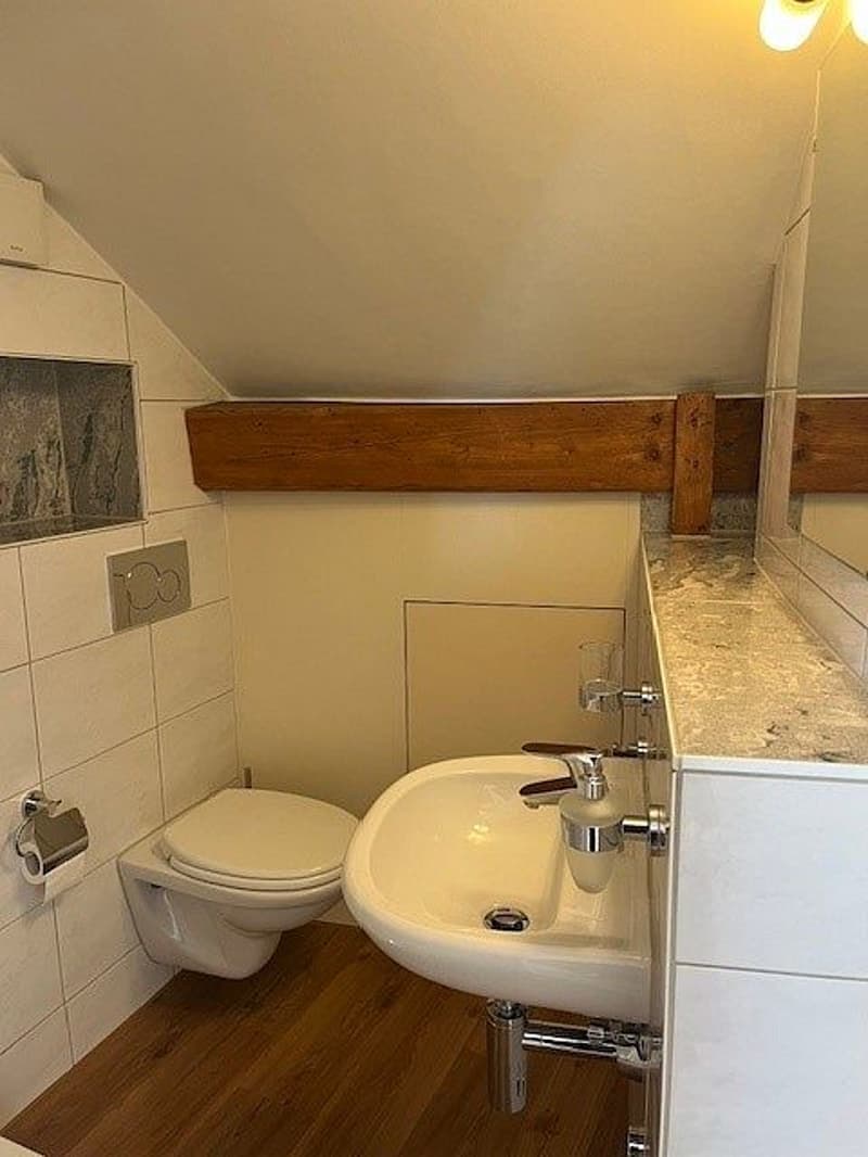 1-Zimmerwohnung, 4. Stock (6)