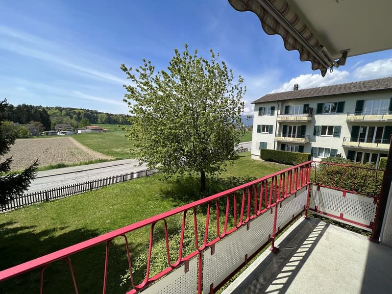 3-Zimmerwohnung, 1. Stock rechts (6)