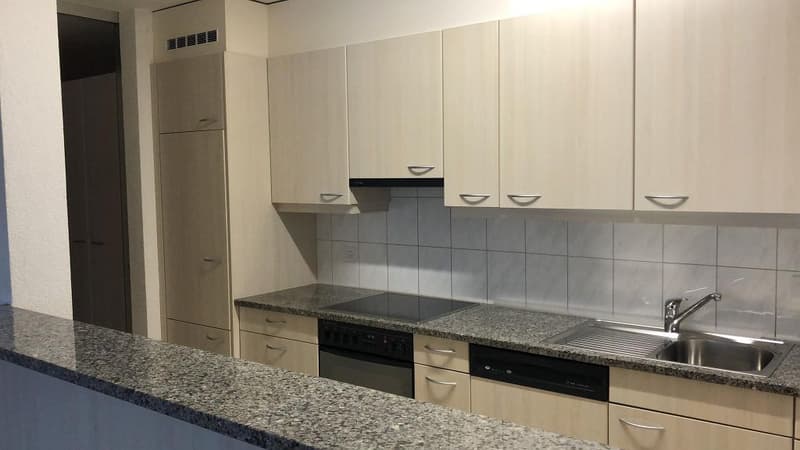 3 1/2-Zimmerwohnung, 1. Stock links (2)