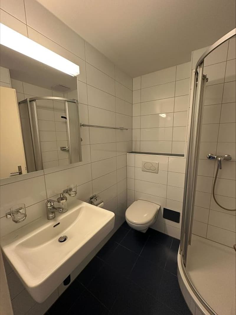 Attraktive 4- Zimmerwohnung mit viel Charme in Zürich-Wiedikon zu vermieten (7)
