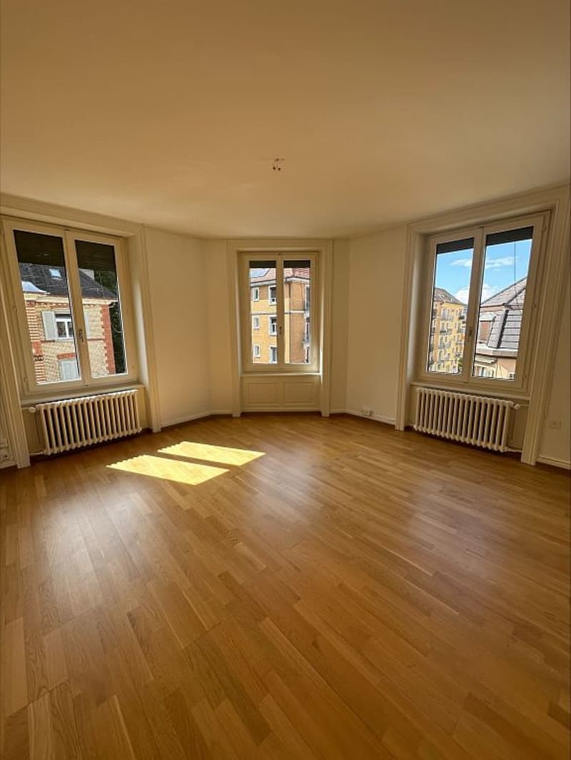 Attraktive 4- Zimmerwohnung mit viel Charme in Zürich-Wiedikon zu vermieten (3)