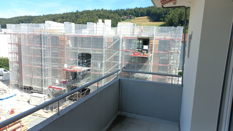 sanierte 2 1/2-Zimmerwohnung im 2. Stock rechts (10)