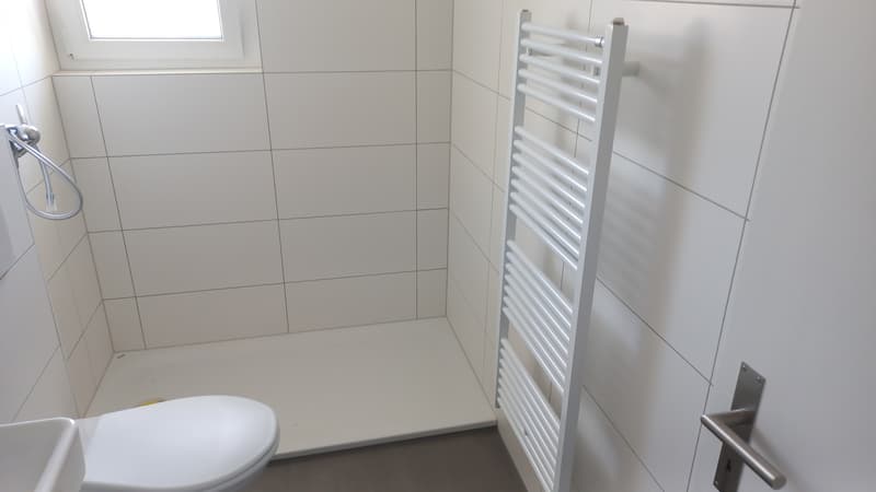 sanierte 2 1/2-Zimmerwohnung im 2. Stock rechts (5)