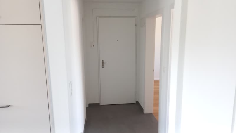 sanierte 2 1/2-Zimmerwohnung im 2. Stock rechts (2)