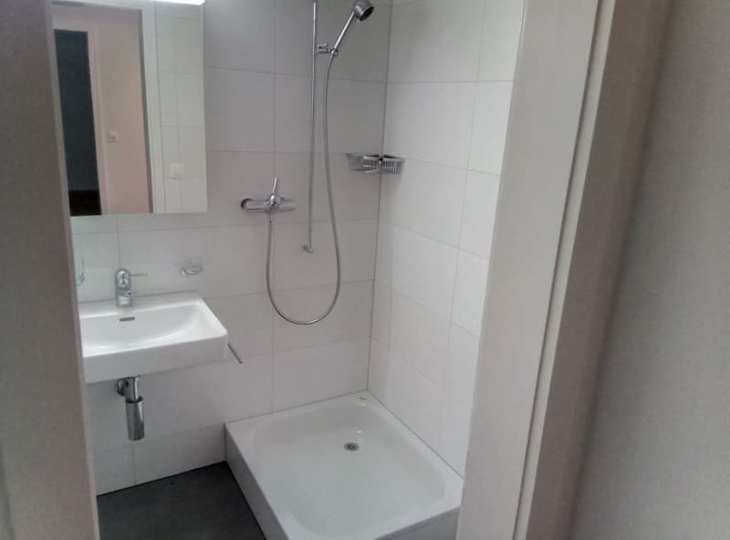 1 1/2-Zimmerwohnung im Sous-sol (3)