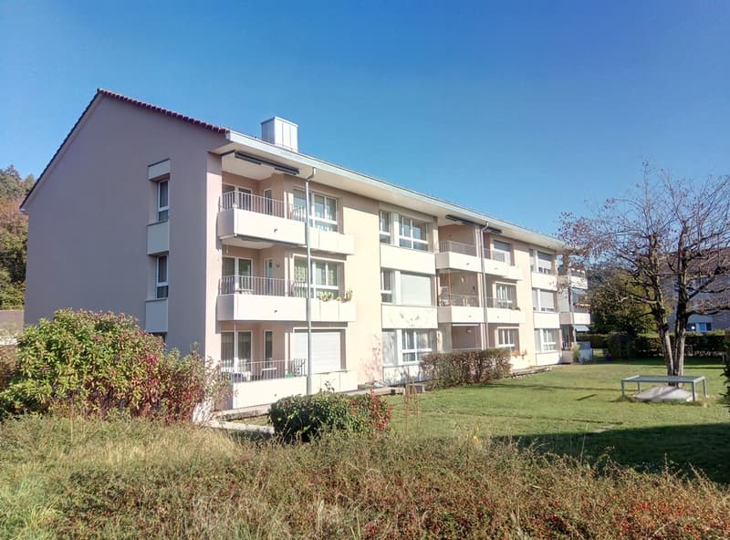 1 1/2-Zimmerwohnung im Sous-sol (1)