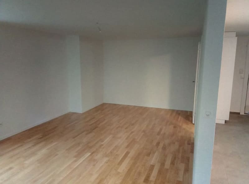 1 1/2-Zimmerwohnung im Sous-sol (5)