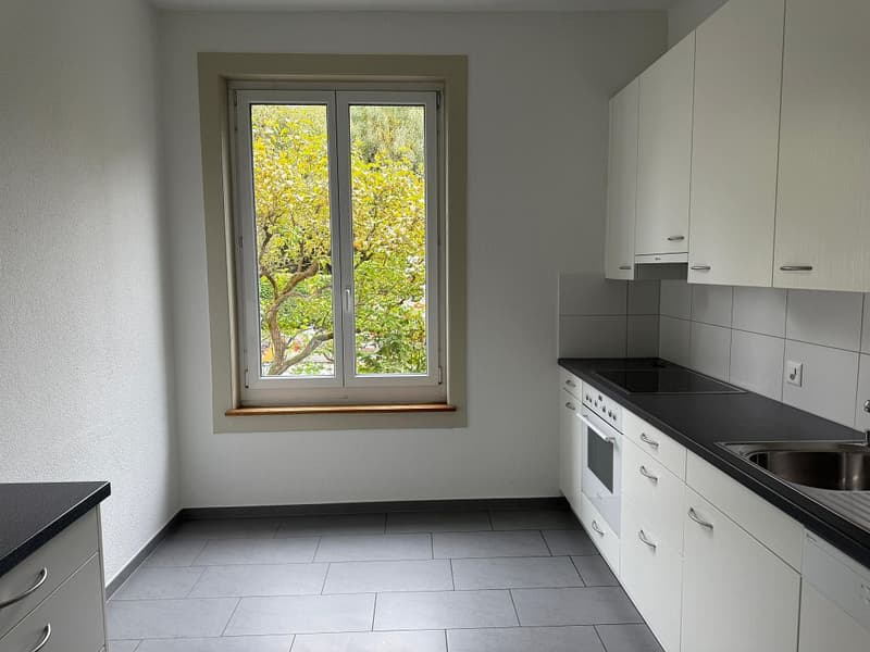 4-Zimmerwohnung, Parterre (2)