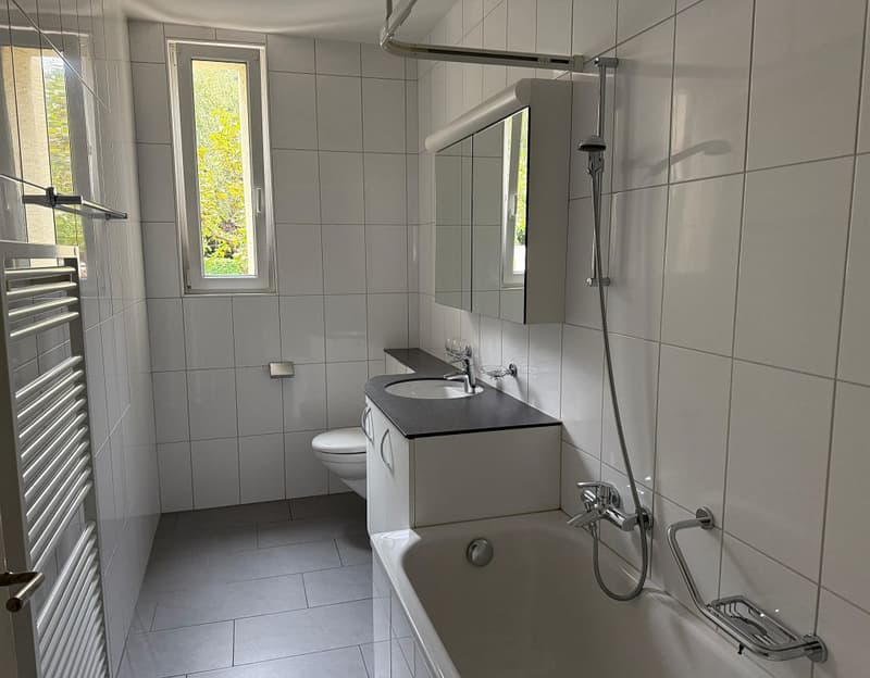 4-Zimmerwohnung, Parterre (8)