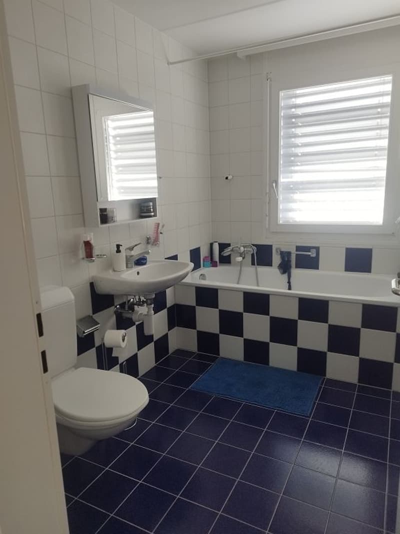 3 1/2-Zimmerwohnung, 2. Stock rechts (5)