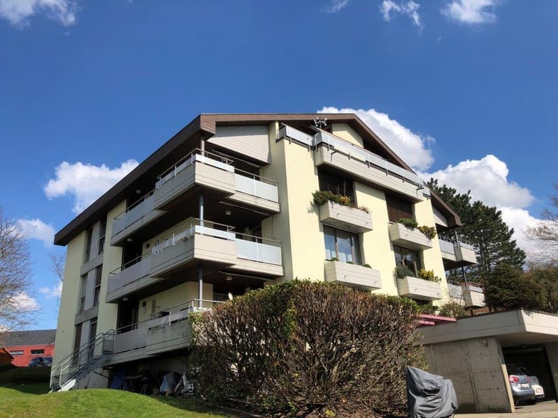 charmante 2 1/2-Zimmerwohnung, Dachstock (9)