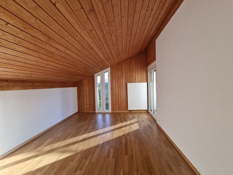 charmante 2 1/2-Zimmerwohnung, Dachstock (3)