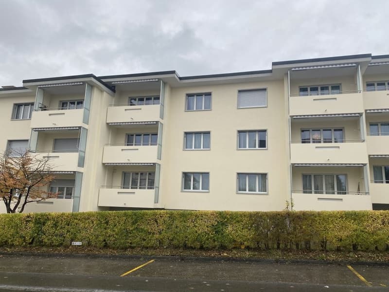 3 1/2-Zimmerwohnung, Parterre rechts (1)