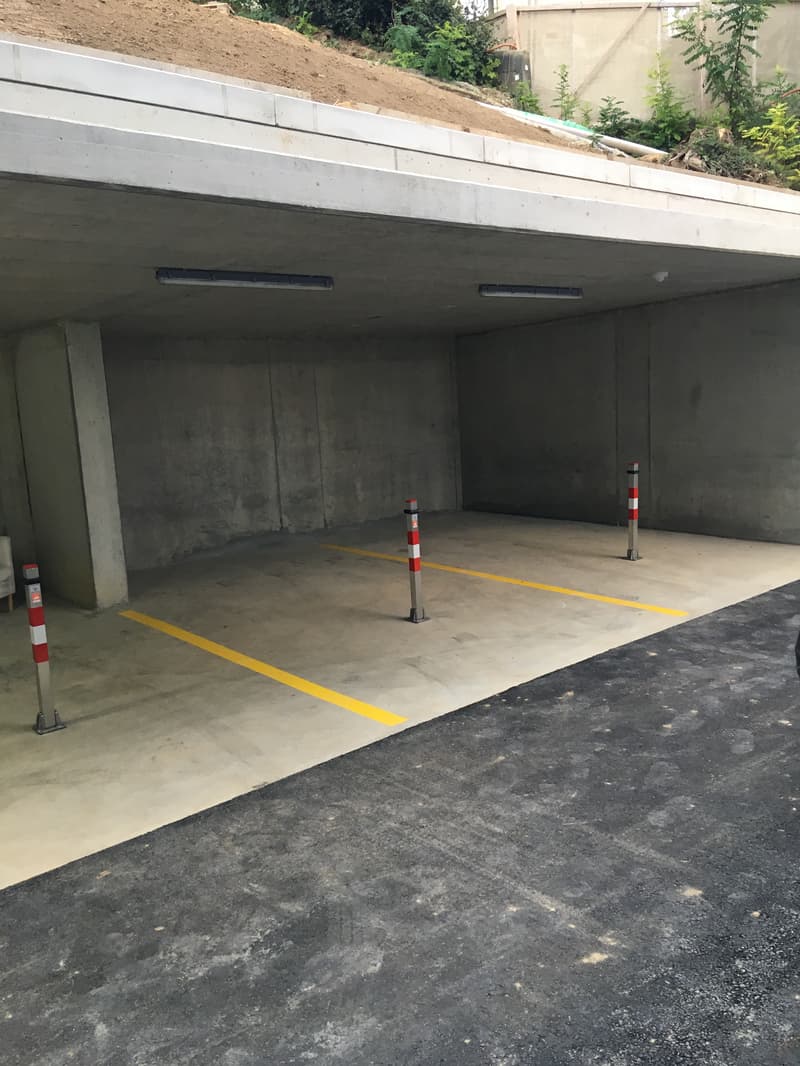 Gedeckter Carport (3)