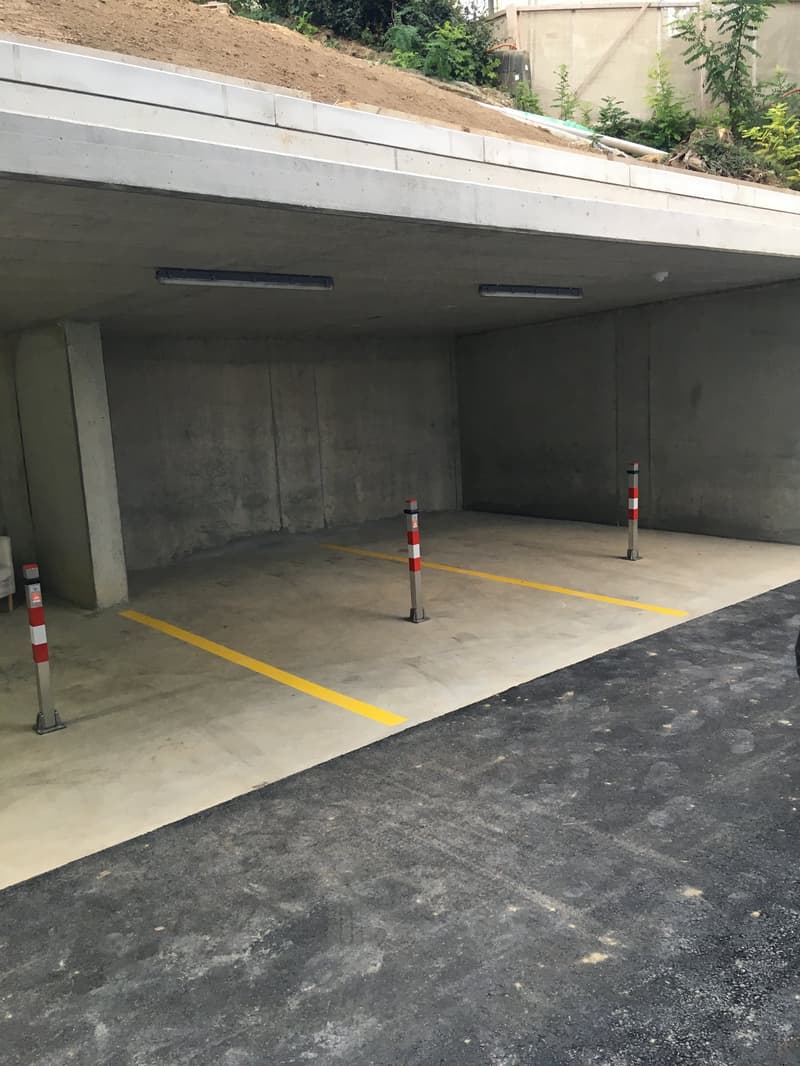 Gedeckter Carport (3)