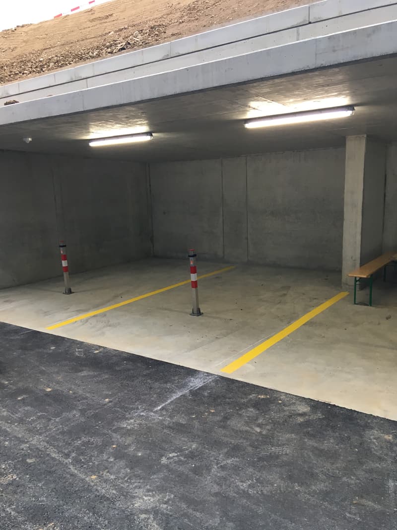 Gedeckter Carport (2)
