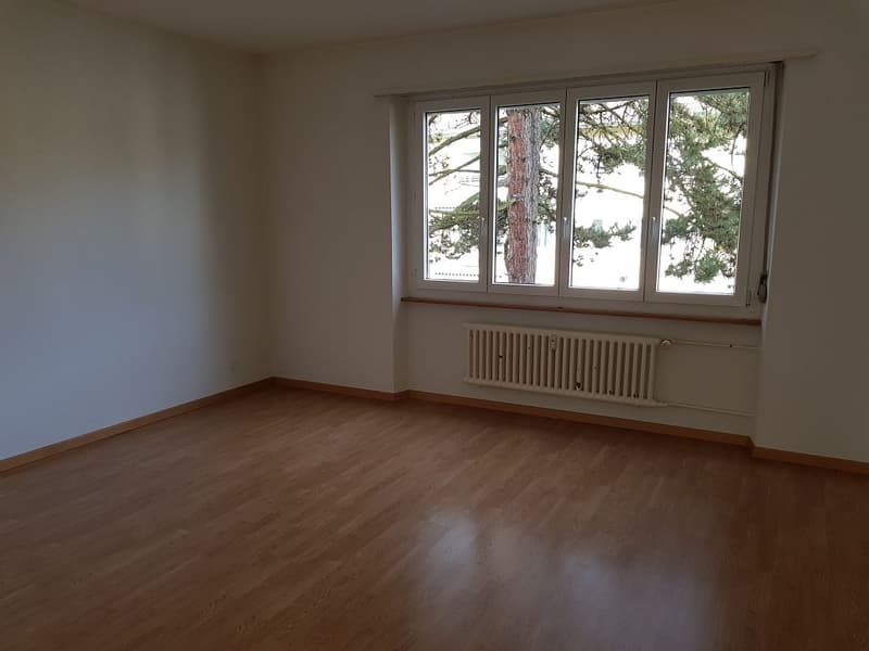 charmante 3- Zimmerwohnung im 2. Stock (6)