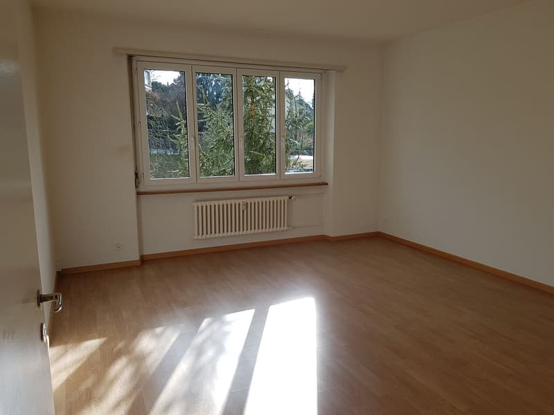 charmante 3- Zimmerwohnung im 2. Stock (5)