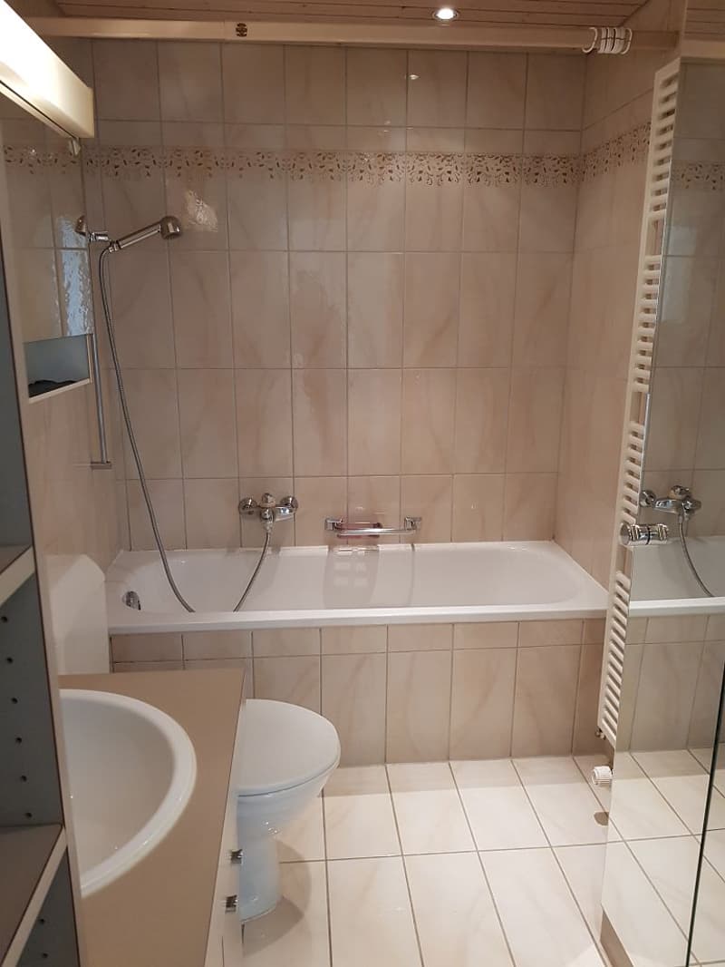 charmante 3- Zimmerwohnung im 2. Stock (3)